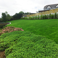 Turfed and lanscaped sloped garden.